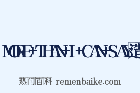 MORE+THAN+I+CAN+SAY造句是什么意思的图片